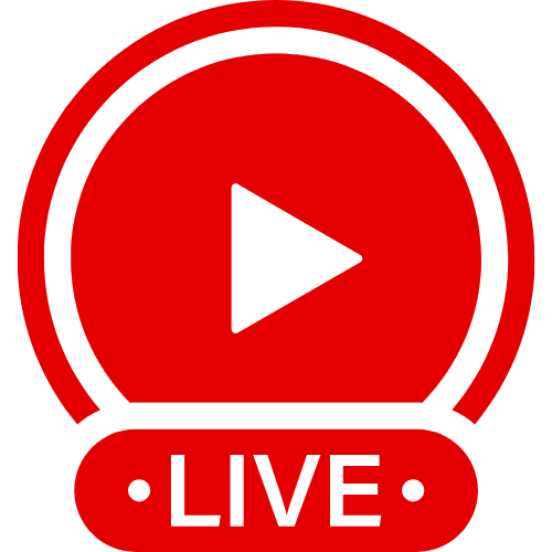 Hamster Webcam Live | Live Webcam Shows & Interactive Adult Entertainment